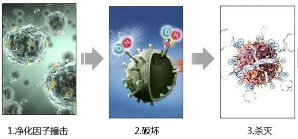 氧化鋅抗菌機(jī)理2.jpg